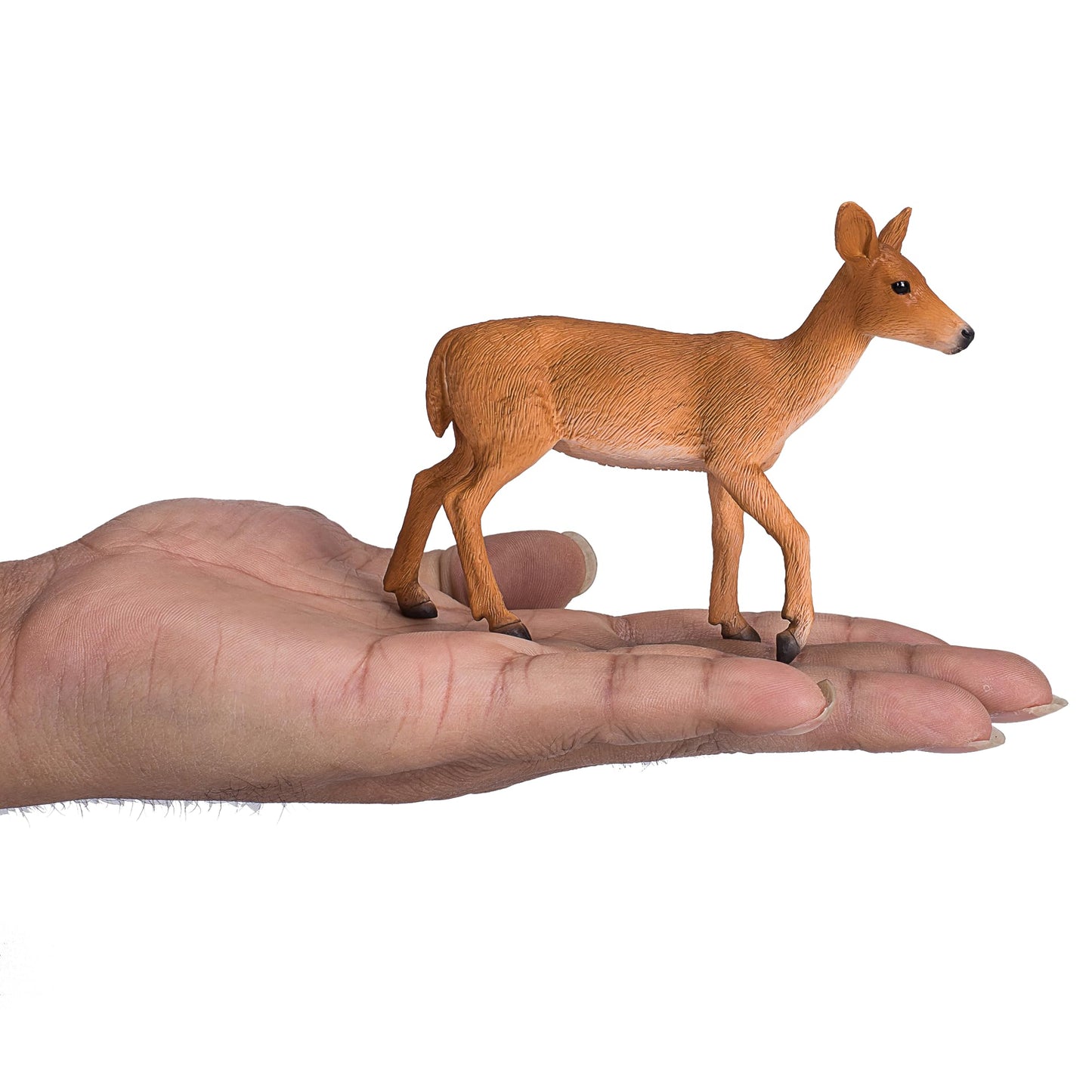 MOJO - White Tailer Deer Doe | Hand-Painted Toy Figure | Woodland Collection | True to Life & Highly Detailed | Designed in UK