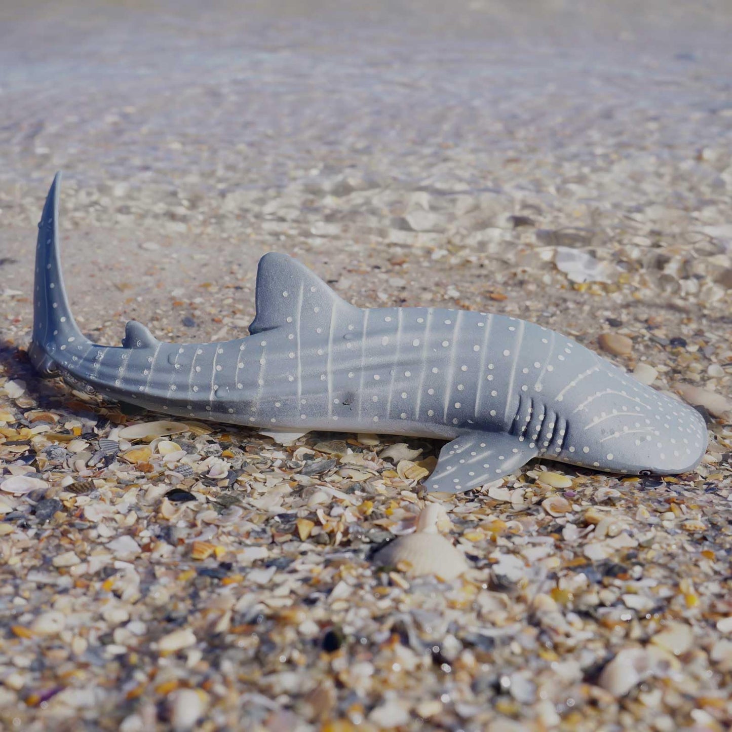 Safari Ltd. Whale Shark Figurine - Detailed 7.25" Aquatic Figure - Educational Toy for Boys, Girls, and Kids Ages 3+