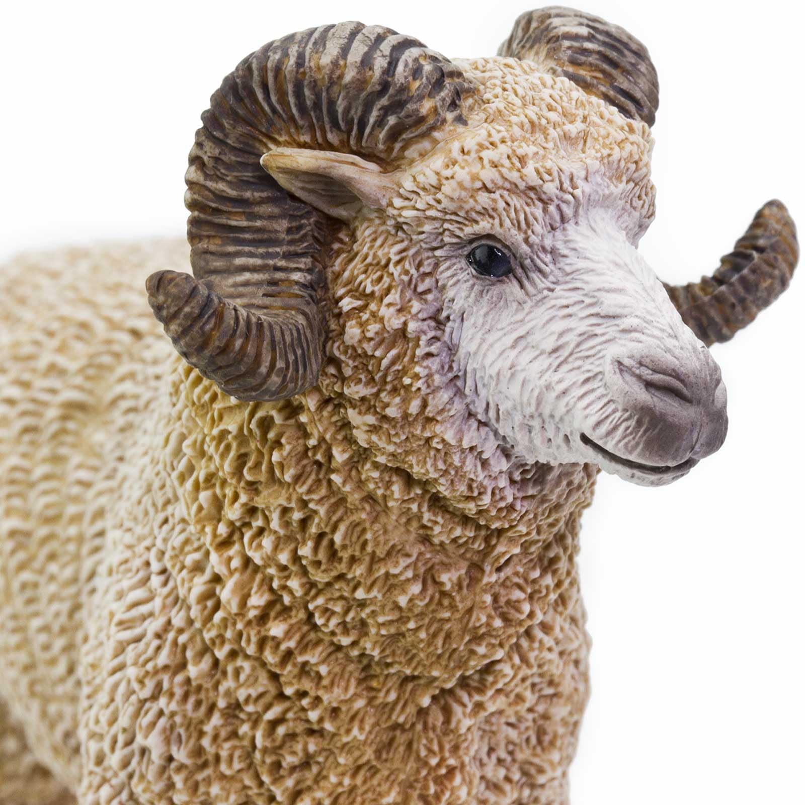 Safari Ltd. Ram Figurine - Lifelike 3.5" Model Figure - Educational Toy for Boys, Girls, and Kids Ages 1+
