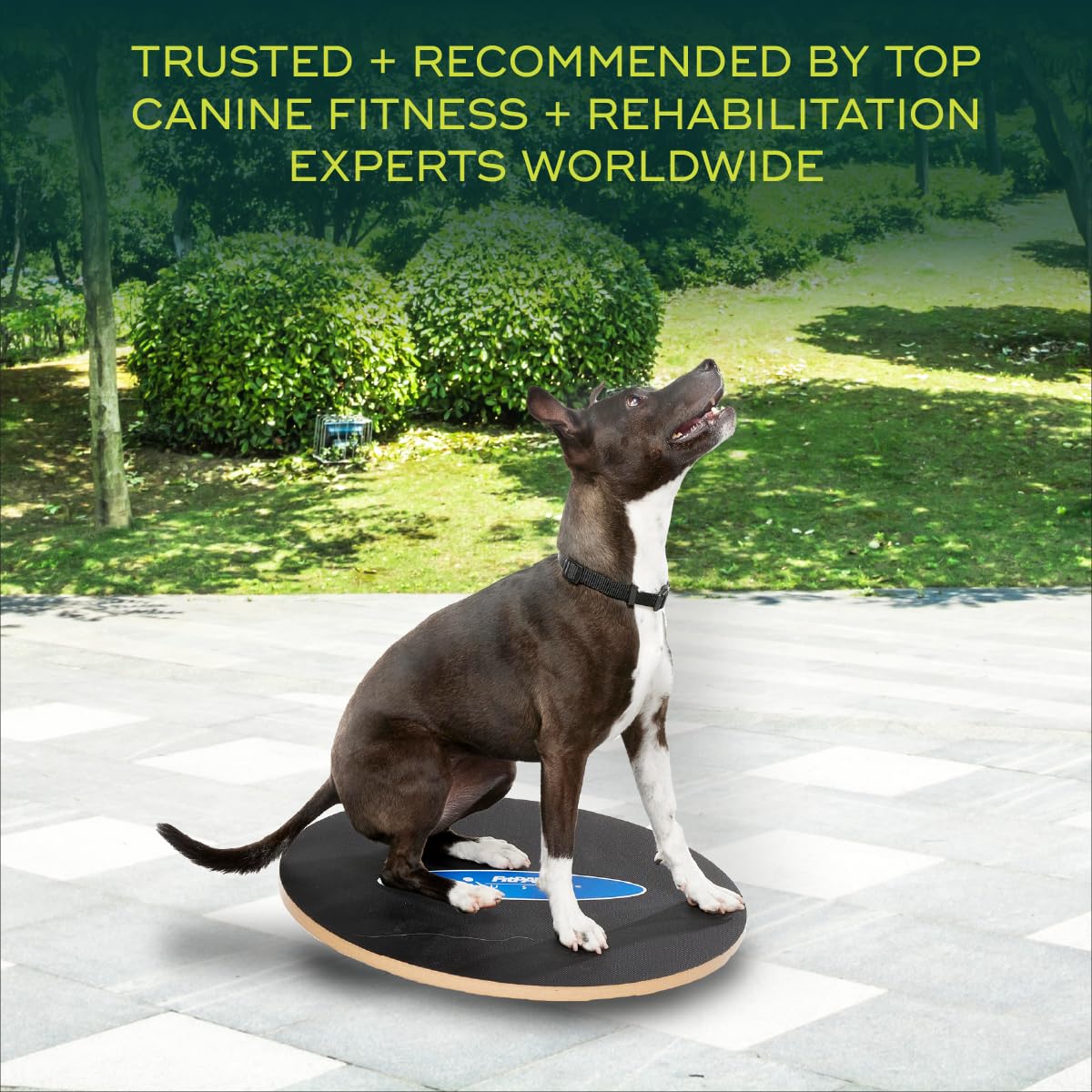 FitPaws® 20" Wobble Board, Dog Balance Training, Rehab + Exercise Equipment