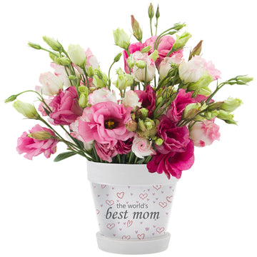 DIY Craft Flower Pot