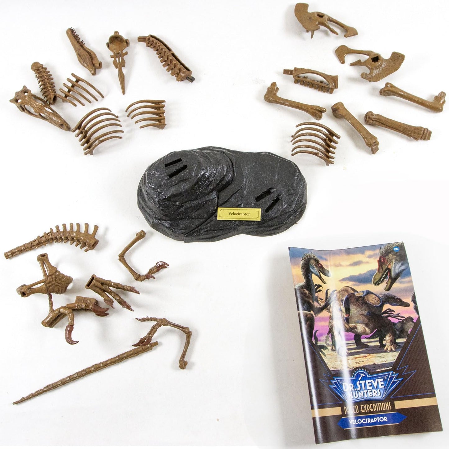 Geoworld Velociraptor Skeleton Model Kit - Scale Replica Velociraptor Skeleton - Build, Learn & Play STEM Toy for Kids Ages 6+