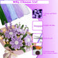500 Pcs Pipe Cleaners Flower Making Kit with LED Light - Chenille Stems Set w/Floral Wire, Floral Stamens, Craft Wire, Tape & Ribbon for Light Up