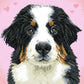 DIAMOND DOTZ Say Hello to Zuzu Dog Diamond Painting Kits for Adults - Diamond Art Kits a Relaxing Creative Craft Kit with Dotz Gems 11.4"x11.4"
