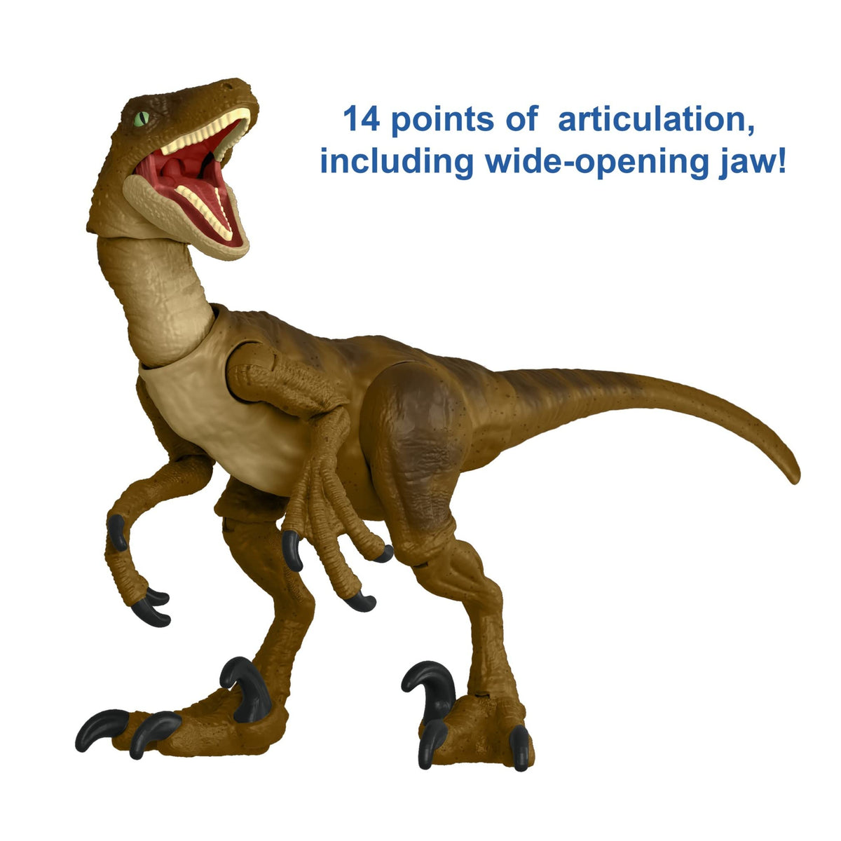 Jurassic World Toys Jurassic Park Hammond Collection Velociraptor Dinosaur Action Figure, 7.5 in Long with 14 Movable Joints, Gift and Collectible