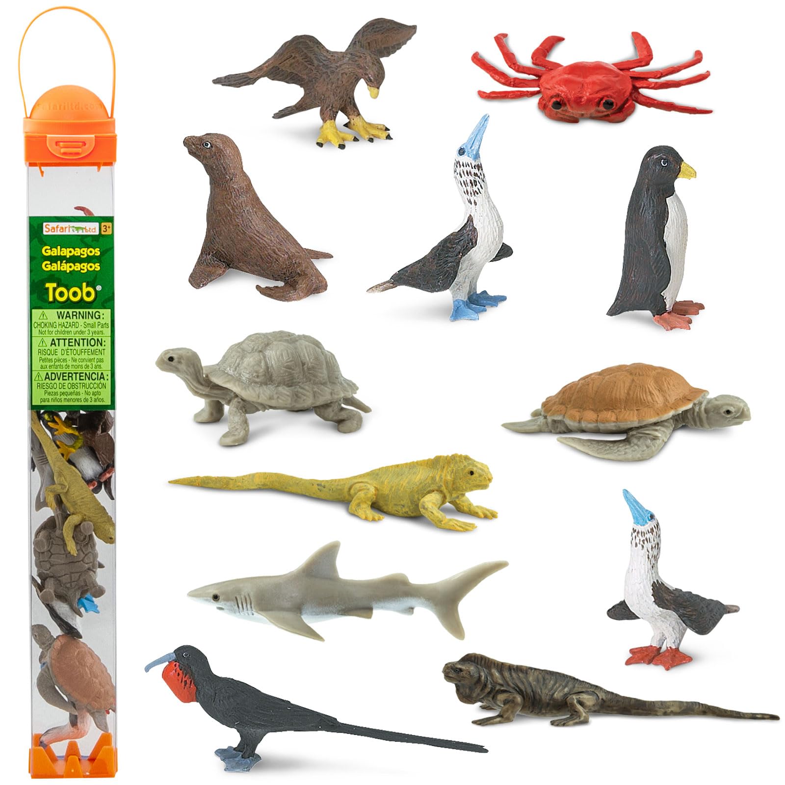 Safari Ltd. Galapagos Wildlife TOOB - Figurines of Seal, Blue-Footed Booby, Tortoise & More - Fun Educational Play Toy for Boys, Girls & Kids Ages 3+