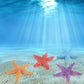 WONWONTOYS Starfish for Crafts 4PCS 3 Inch Starfish Decor Ornaments for Wedding Party Christmas Home Crafts Seashells for Kids Toddler Sea Shells Sea