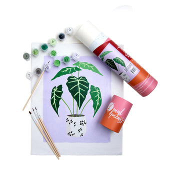 Pink Picasso Kits Mid Century Modern Paint by Number for All Ages | DIY Color by Numbers Craft Kit Acrylic Paint Canvas Beginners Painting Kits as