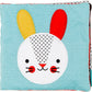 Baby Bunny Organic Soft Book and Teether Set