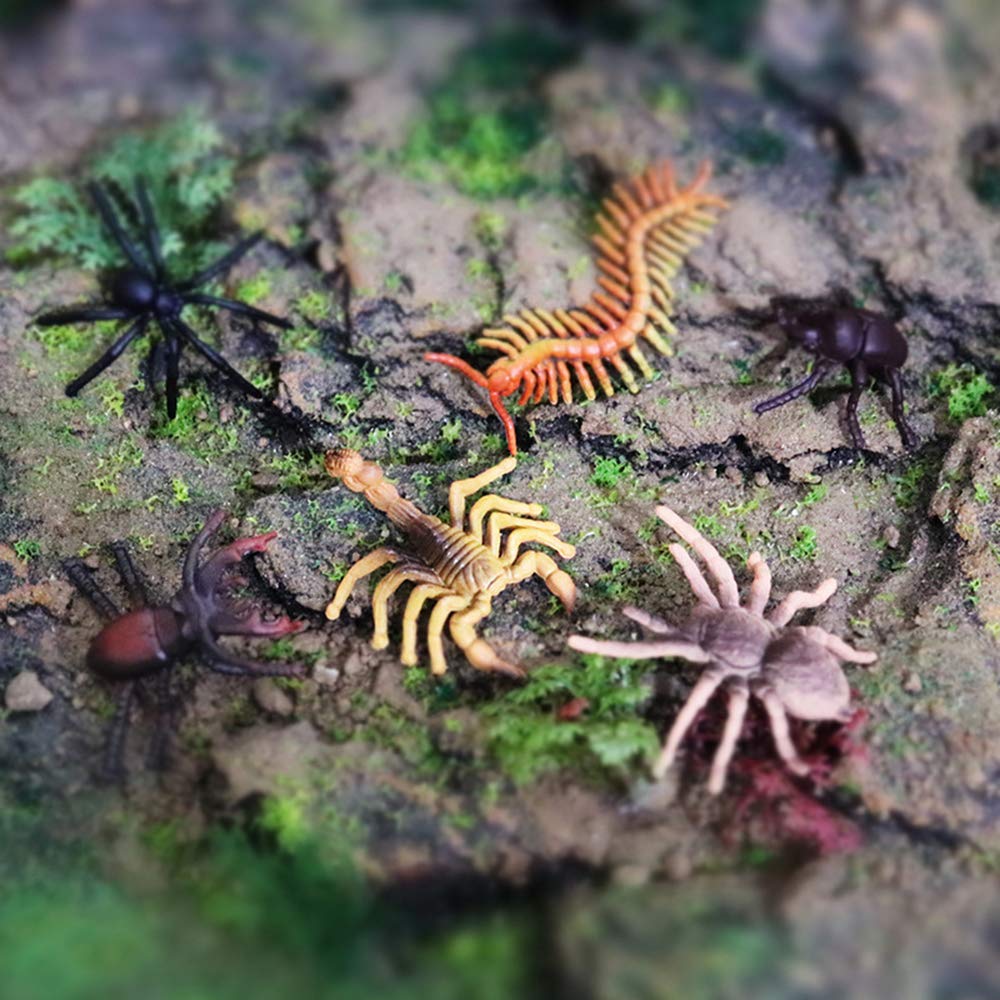 RCOMG 12 PCS Small Realistic Insects Figures Toys, Plastic Wildlife Animal Fake Bug Toys Halloween Party Favor School Project Bug Figurines Set