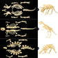 NUOLUX 3Pcs 4D Dinosaur Fossil Skeleton Toys DIY for Kids Fossil Skeleton Figure