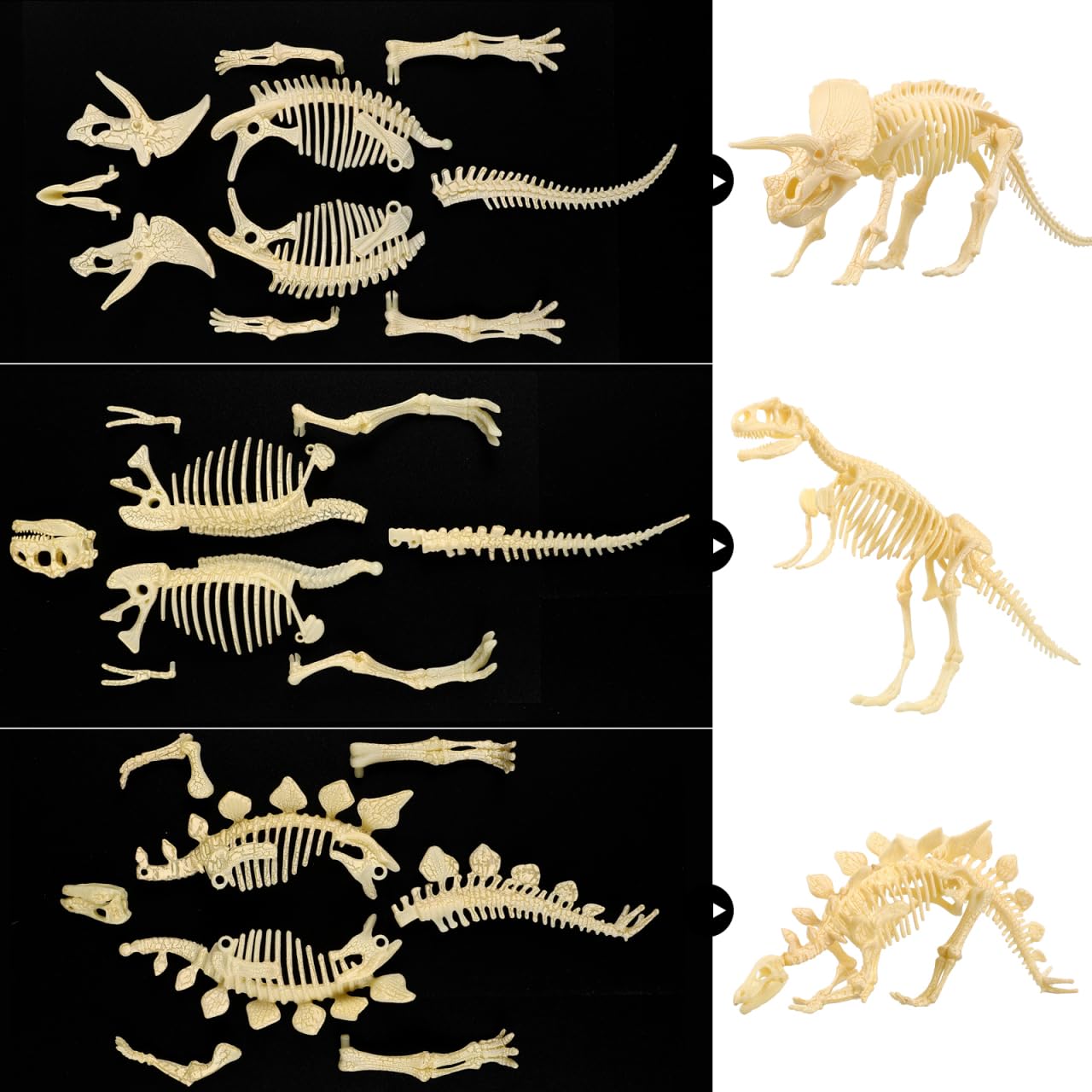 NUOLUX 3Pcs 4D Dinosaur Fossil Skeleton Toys DIY for Kids Fossil Skeleton Figure