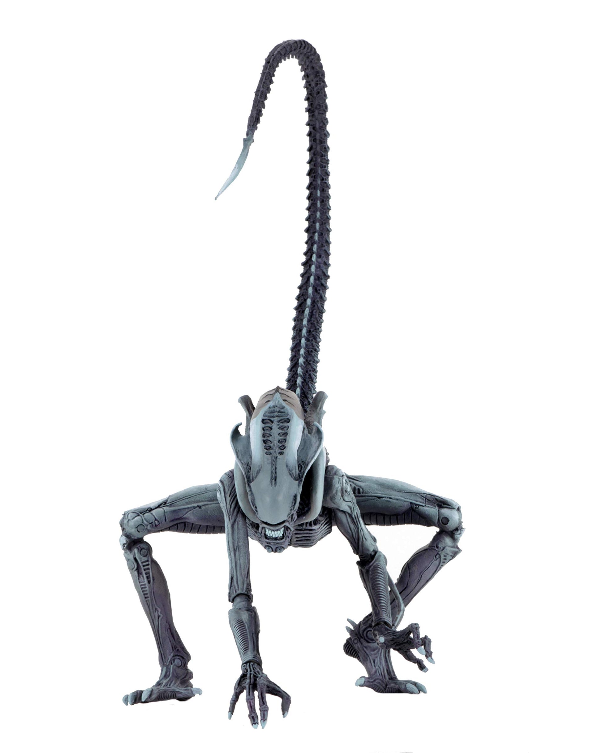 NECA - Aliens vs Predator (Arcade Appearance) - 7" Scale Action Figures - Arachnoid