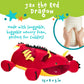 MEMORY MATES Jax the Red Dragon Memory Foam Pillow Plush with Kid's Diary that Stores in Belly Pocket, 15” Stuffed Animal, 6" Journal