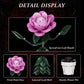 Wonderland Flower Building Sets Compatible with Lego Flowers Botanicals for Adults, Girls, Women and Fans - Pink Rose Flower Gifts for Mothers Day