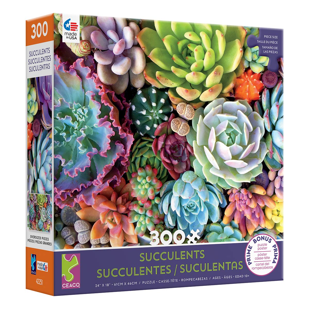 Succulents - Succulent Synergy Puzzle - 300 Pieces