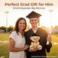 SHSEEN 2026 Graduation Bear, 8 Inch Plush with Gift Box