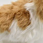 Hansa Shih Tzu Plush Dog