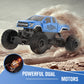 DOUBLE E Ford Raptor F150 RC Truck,10.67inch Monster Truck with 4WD Power
