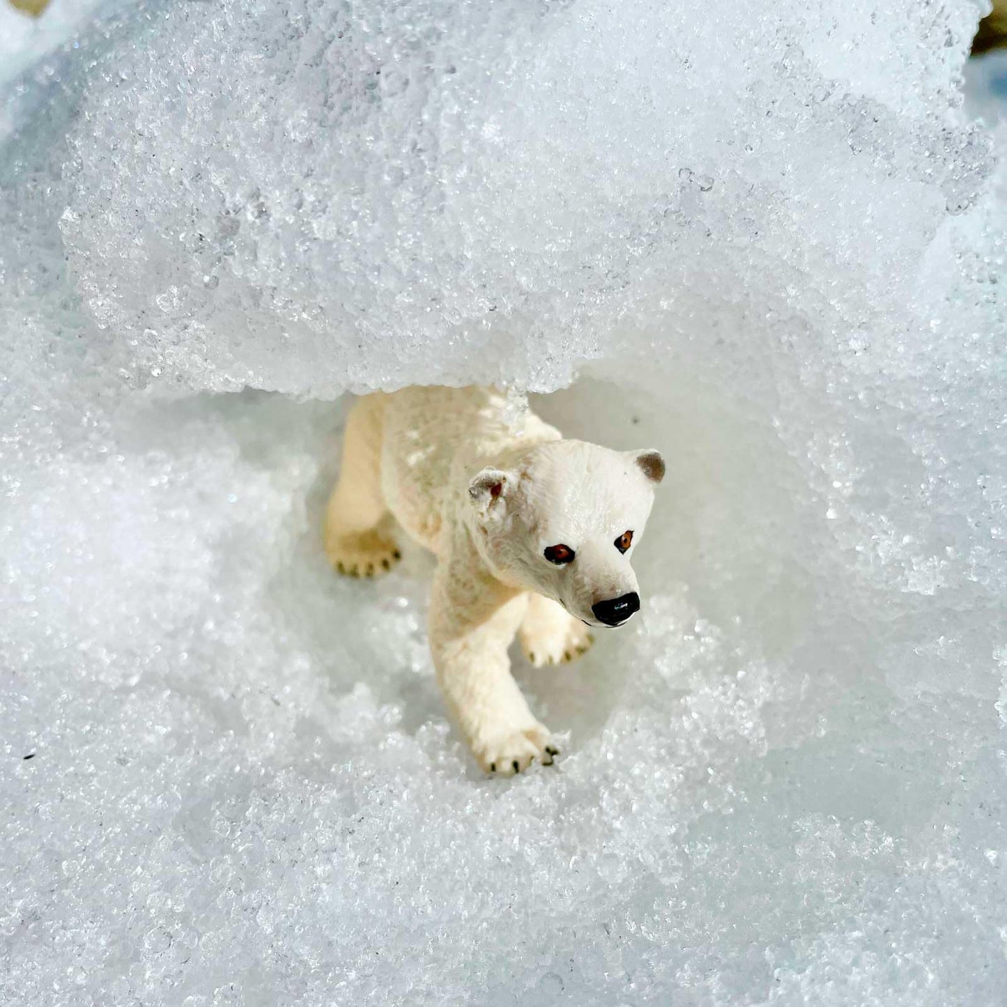Safari Ltd. Polar Bear Cub Figurine - Detailed 2.75" Plastic Model Figure - Fun Educational Play Toy for Boys, Girls & Kids Ages 1+