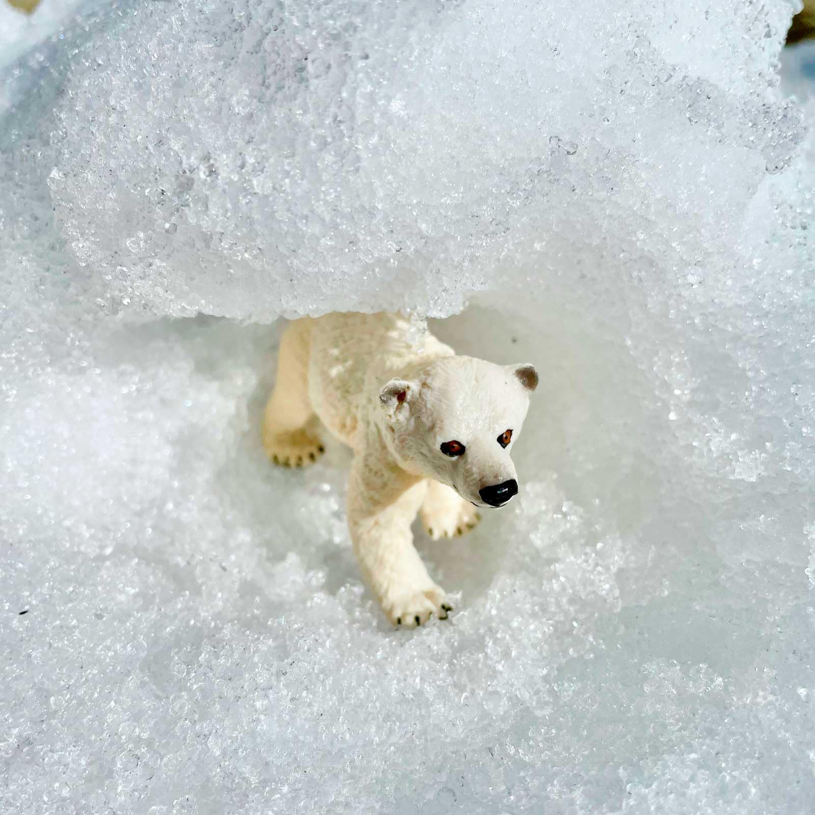Safari Ltd. Polar Bear Cub Figurine - Detailed 2.75" Plastic Model Figure - Fun Educational Play Toy for Boys, Girls & Kids Ages 1+