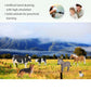 Volnau Farm Animal Toys Figurines 14PCS Barn Figures for Toddlers Kids Preschool Educational Cow Sheep Cock Hen Dog Pig Sets Christmas Decoration Gift