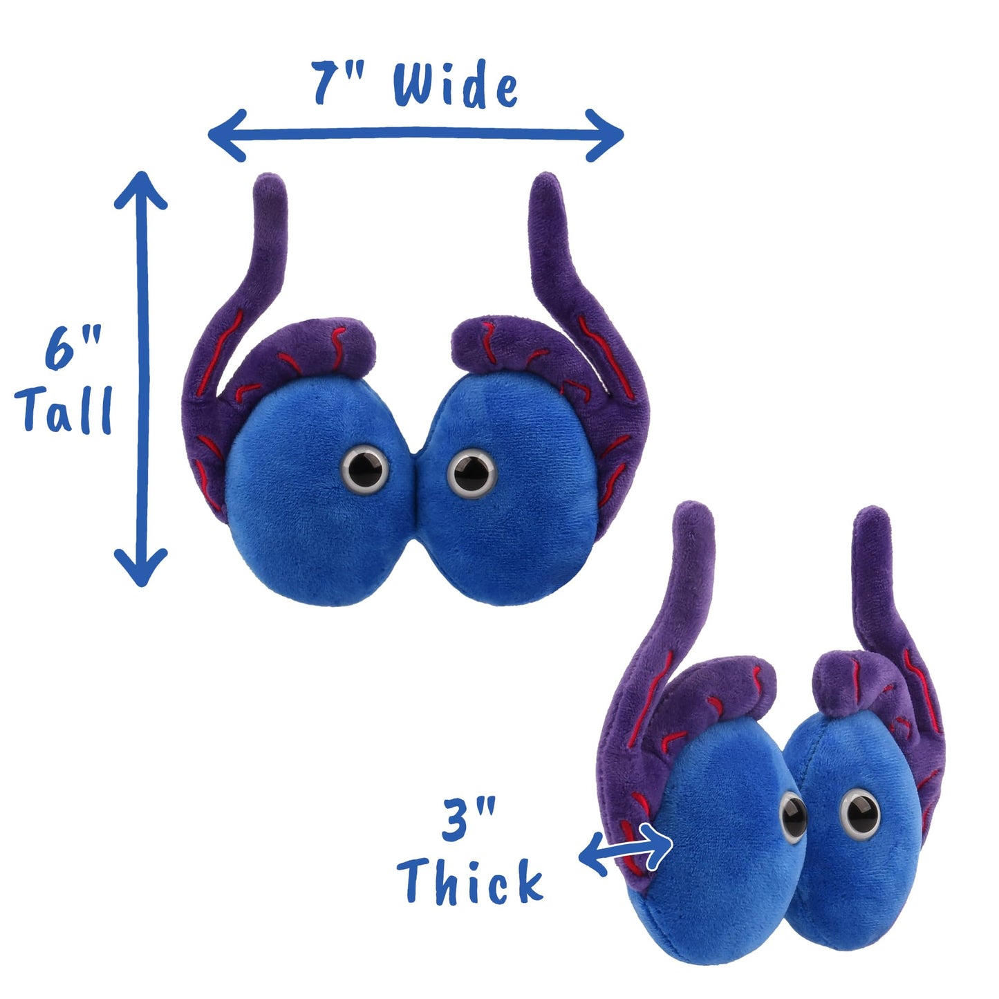 GIANT MICROBES Testicle Plushie Toy, Testicles Gift, Testicular Cancer Awareness, Vasectomy Gifts, Urology Gifts, Urology Nursing, Testicle Pillows