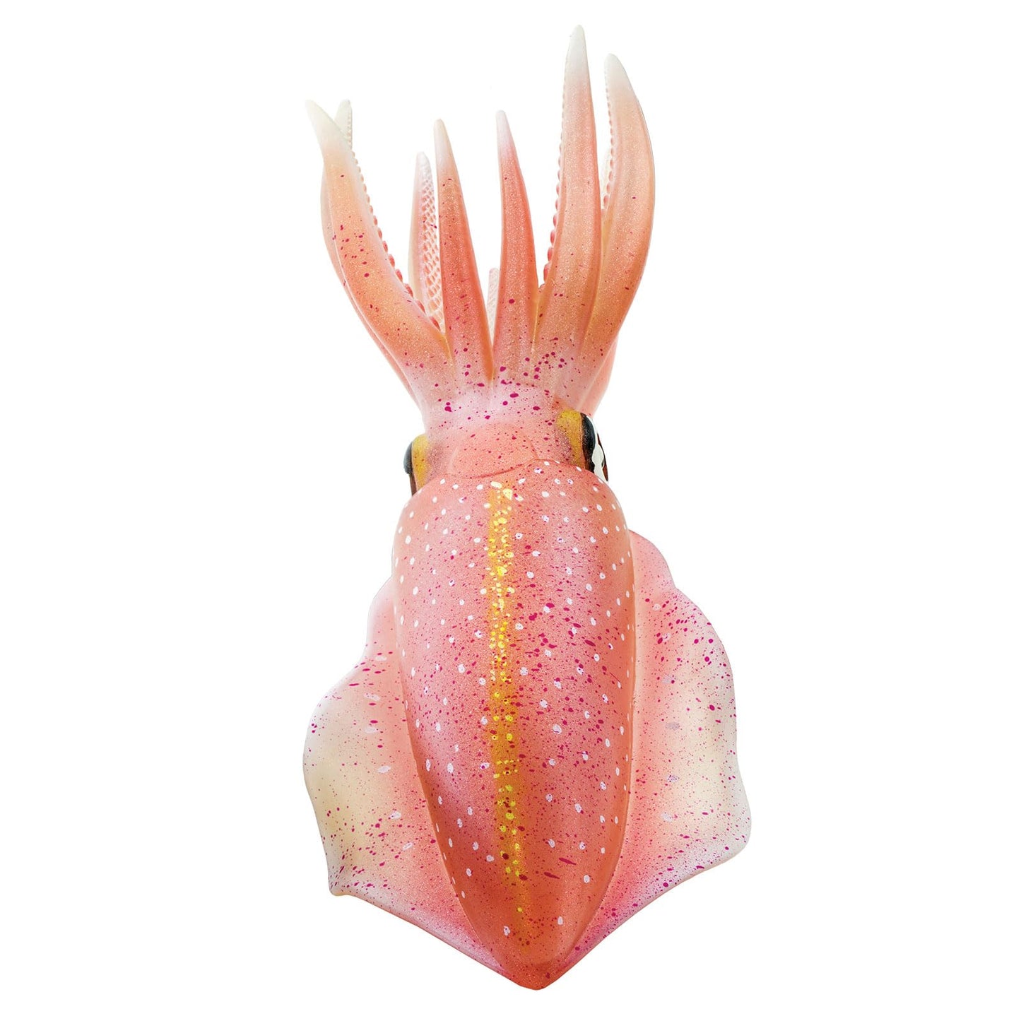 Safari Ltd. Reef Squid Toy Figurine - Detailed 8.25" Plastic Model Figure - Fun Educational Play Toy for Boys, Girls & Kids Ages 3+