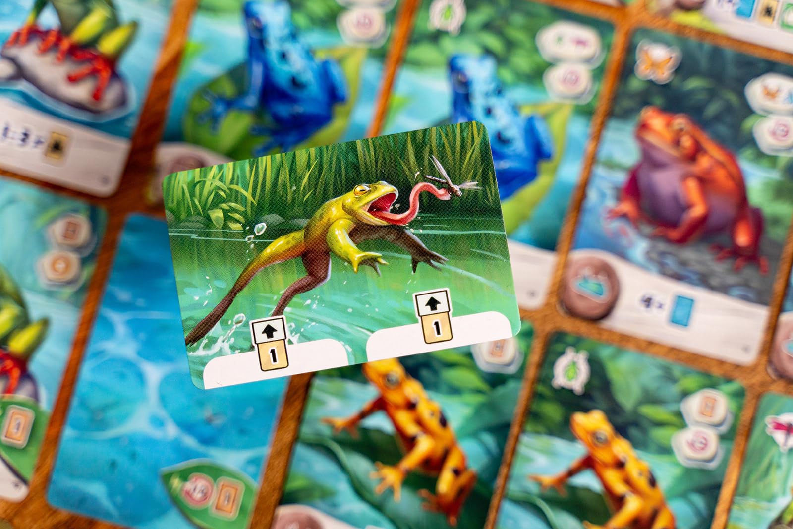 Capstone Games Pondscape - Strategy Card Game for Adults & Teens - 2 Player or More - Asymmetrical, Mystery, Role-Based & Thematic Card Game for Game