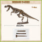 VIBIRIT Dig Up Dinosaurs Skeleton Set,Dinosaur Digging Fossil Kit Model Toys,Excavation Kits for kids5-12year,Educational Realistic Toys