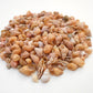 1/2 lb (1000+) Beautiful Tiny Peach Melissa Mini Shells Seashells (1/4"-1/2") Beach Craft Hobby Nautical