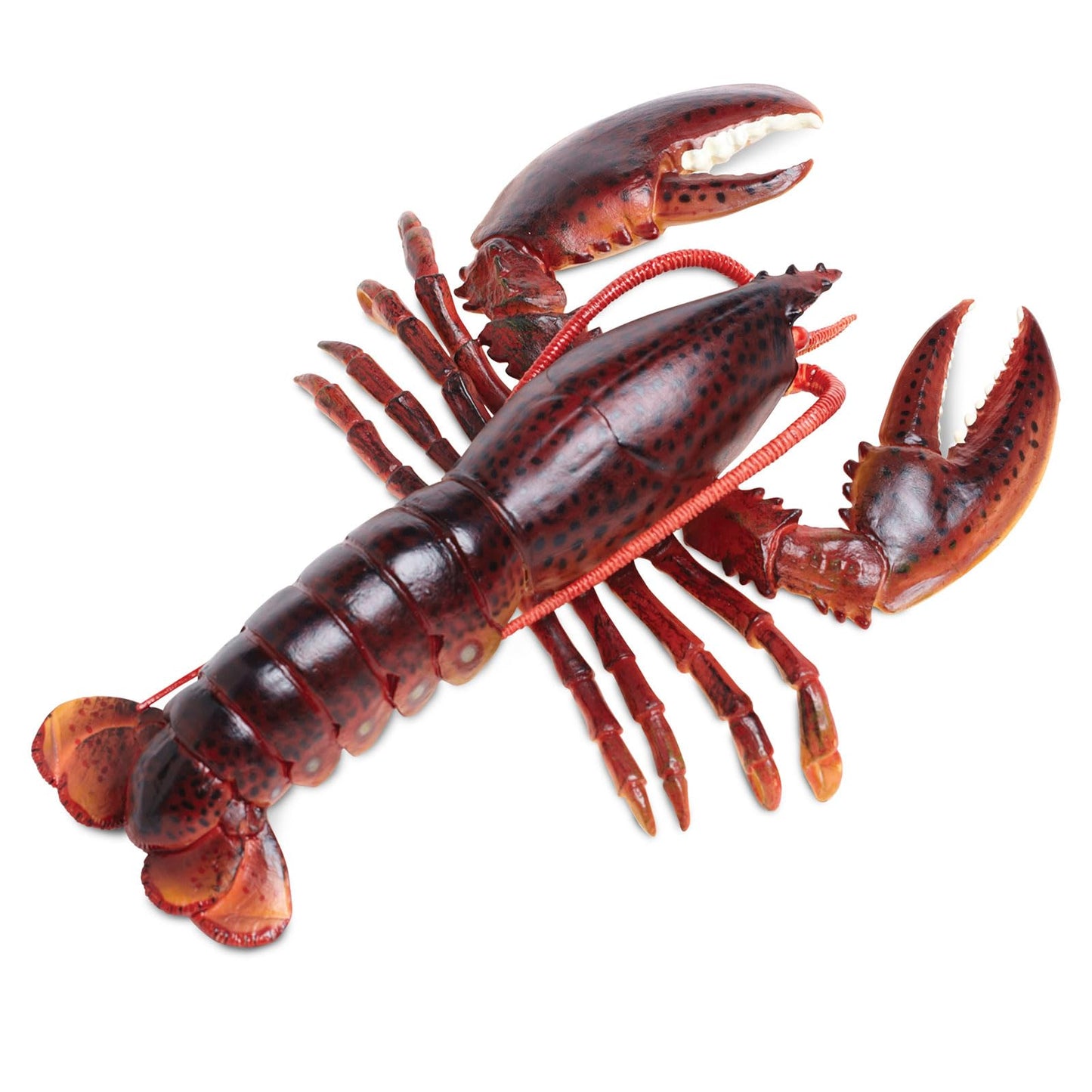 Safari Ltd. Maine Lobster Figurine - Realistic 8" Crustacean Figure - Educational Toy for Boys, Girls, and Kids Ages 3+