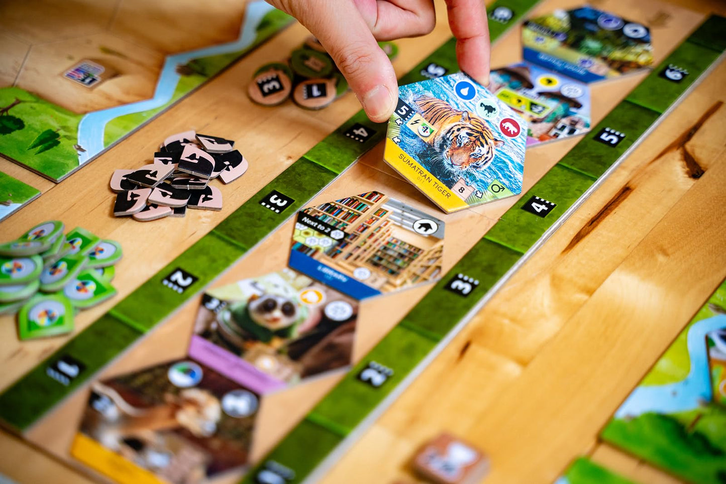 Capstone Games Sanctuary Animal-Themed Strategy Board Game