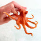 Safari Ltd. Octopus Figurine - Detailed 5" Plastic Model Figure - Fun Educational Play Toy for Boys, Girls & Kids Ages 3+