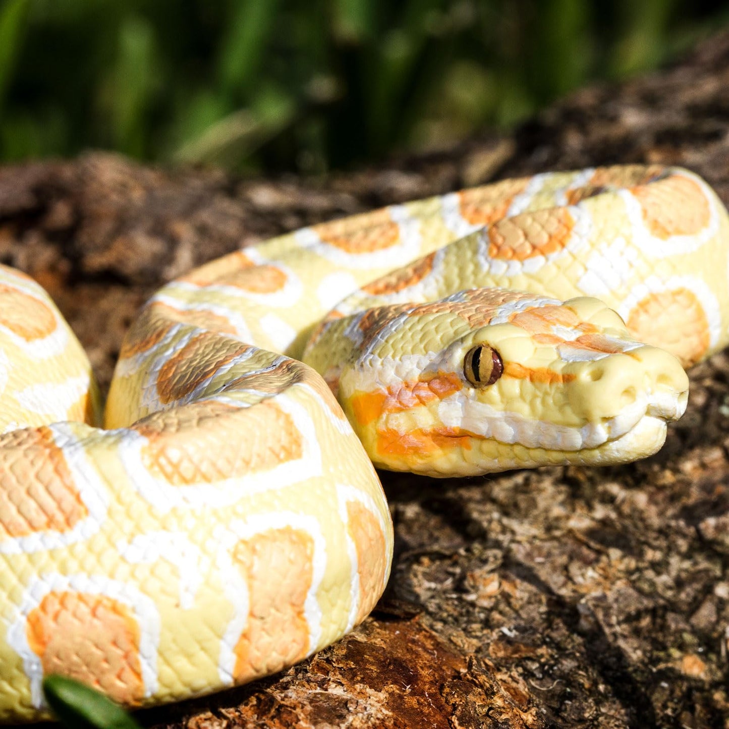 Safari Ltd. Albino Burmese Python Figurine - Lifelike 5.5" Snake Figure - Educational Toy for Boys, Girls, and Kids Ages 3+