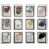 12 Pcs Natural Gemstone & Crystal Collection with Openable Acrylic Display Cases - Mineral Specimen Kit with ID Cards, Includes Amazonite, Amethyst