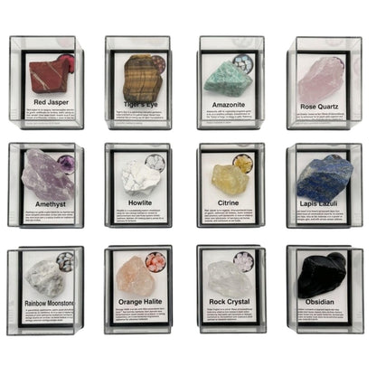 12 Pcs Natural Gemstone & Crystal Collection with Openable Acrylic Display Cases - Mineral Specimen Kit with ID Cards, Includes Amazonite, Amethyst