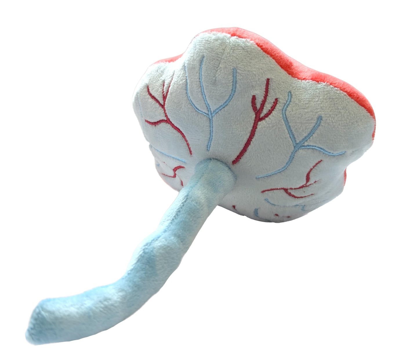 GIANT MICROBES Stuffed Placenta Plush, Uterus Plush, Funny OBGYN Gifts, Labor and Delivery Nurse Gifts, Placenta Model, Biology Models, Postpartum