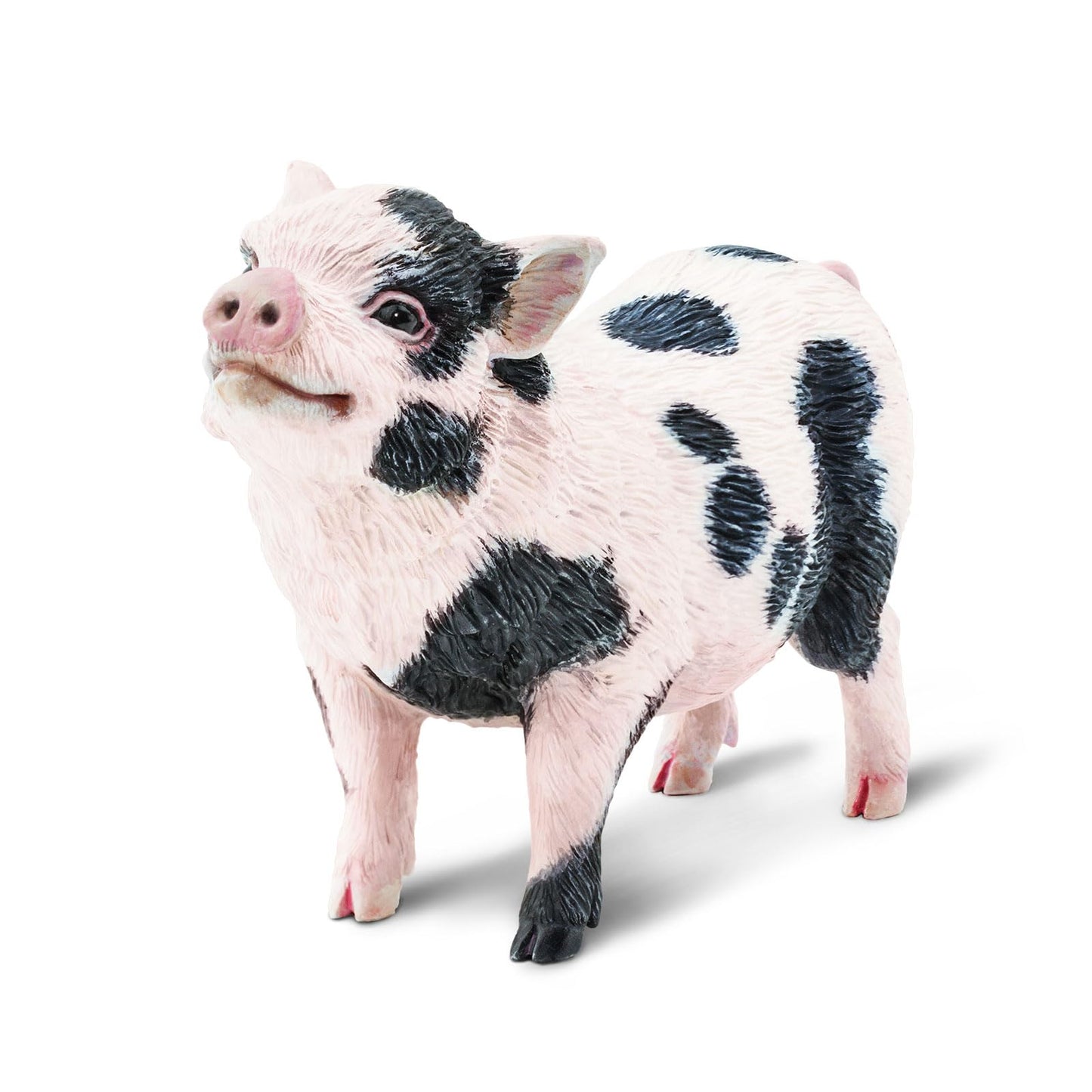 Safari Ltd. Pot-Bellied Pig Figurine - Detailed 5.25" Model Figure - Educational Toy for Boys, Girls, and Kids Ages 18M+