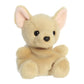 Aurora® Adorable Palm Pals™ Cookie Chihuahua™ Stuffed Animal - Fun Collectible Plush for Kids and Adult Collectors - Perfect for Decorating Rooms