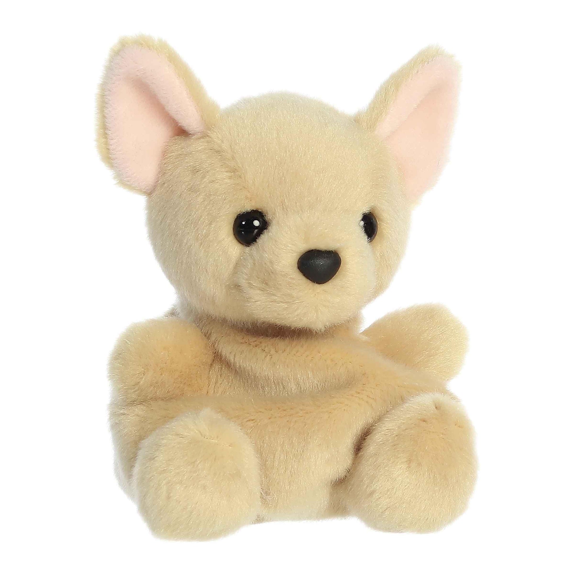 Aurora® Adorable Palm Pals™ Cookie Chihuahua™ Stuffed Animal - Fun Collectible Plush for Kids and Adult Collectors - Perfect for Decorating Rooms