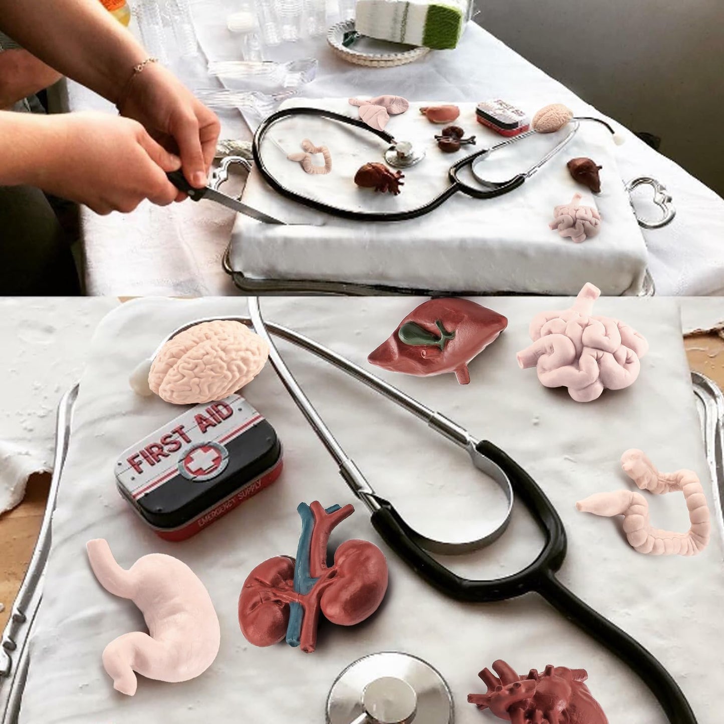 GUFOPONAS 2 Inch 8PCS Human Body Model for Kids Mini Fake Body Parts Sets Human Anatomy Model Anatomy and Physiology Good Tools Students Sciences
