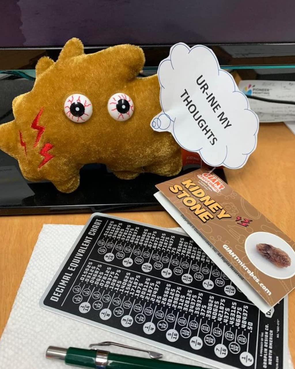 GIANT MICROBES Kidney Stone Plush, Kidney Stone Gift, Kidney Stones, Kidney Surgery Recovery Gifts, Chronic Pain, Nephrology Gifts, Urologist Doctor