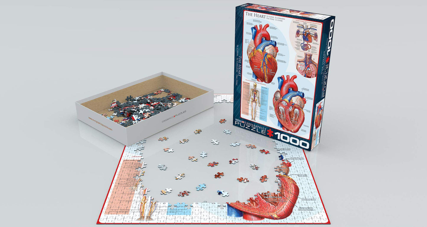 EuroGraphics Human Body (The Heart) Puzzle (1000-Piece) , Blue