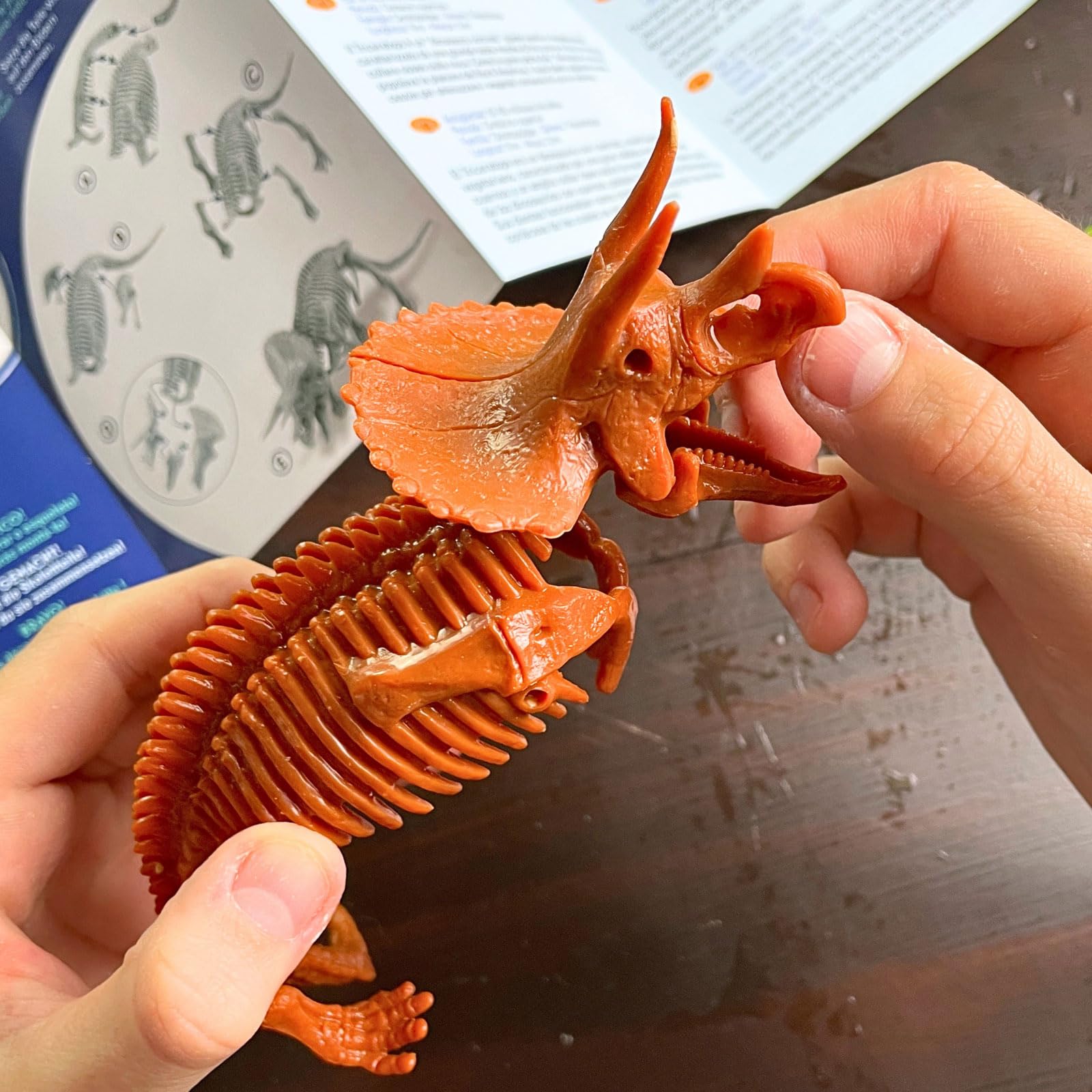 Geoworld Triceratops Dino Dig Kit - Assemble an 8-Inch Authentic Dinosaur Skeleton Model - Ultimate STEM Learning Experience for Kids Ages 6+