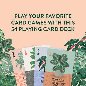 Ridley's Games: Houseplants Playing Cards| 52 Unique Hand-Illustrated Donut Playing Cards - Includes a Durable Storage Tin for Easy Travel - Makes