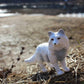Safari Ltd. Arctic Fox Figurine - Detailed 3.25" Plastic Model Figure - Fun Educational Play Toy for Boys, Girls & Kids Ages 3+