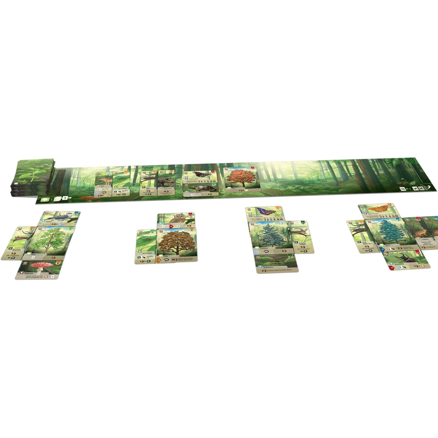 Lookout Games Forest Shuffle Card Game - Create an Ecological Paradise! Clever Strategy Game for Kids & Adults, Ages 10+, 2-5 Players, 60 Min