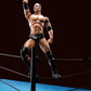 TAMASHII NATIONS Bandai S.H. Figuarts Dwayne The Rock Johnson WWE Action Figure