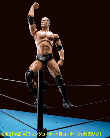 TAMASHII NATIONS Bandai S.H. Figuarts Dwayne The Rock Johnson WWE Action Figure